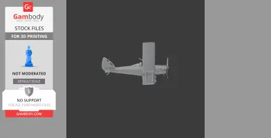 Gray 3D model of a vintage biplane side view, designed for 3D printing.