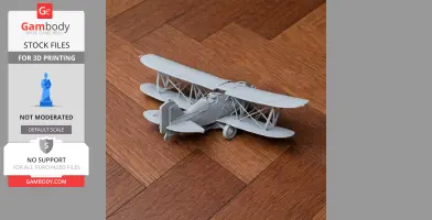 Curtiss F11C Goshawk - Scale Vehicle STL