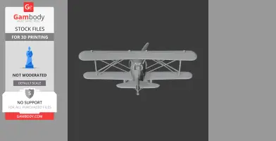 Front view of a 3D model of a Curtiss F7C Seahawk biplane, designed for 3D printing.