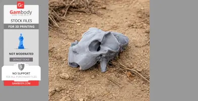 3D printed Sunda Flying Lemur skull replica on rocky ground.