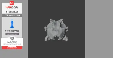 3D model of a Sunda flying lemur skull replica, front view, against a dark gray background.