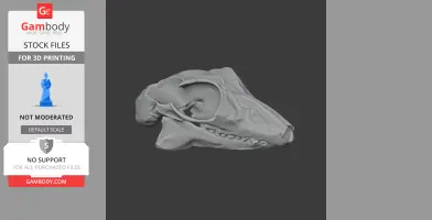 3D model of a Sunda Flying Lemur skull, designed for 3D printing, shown in side view.
