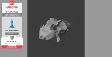 3D model of a Sunda flying lemur skull, designed for 3D printing.