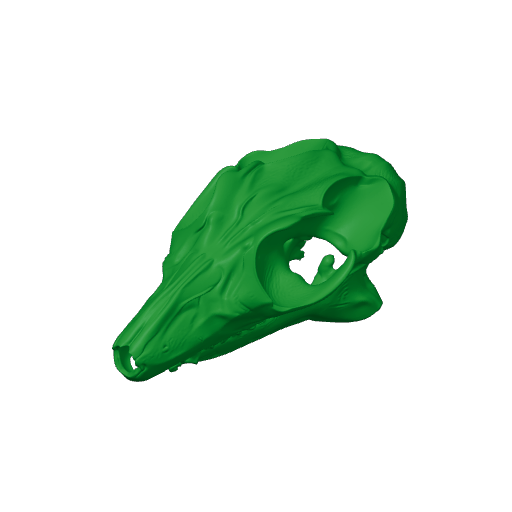 Sunda Flying Lemur Skull.3mf