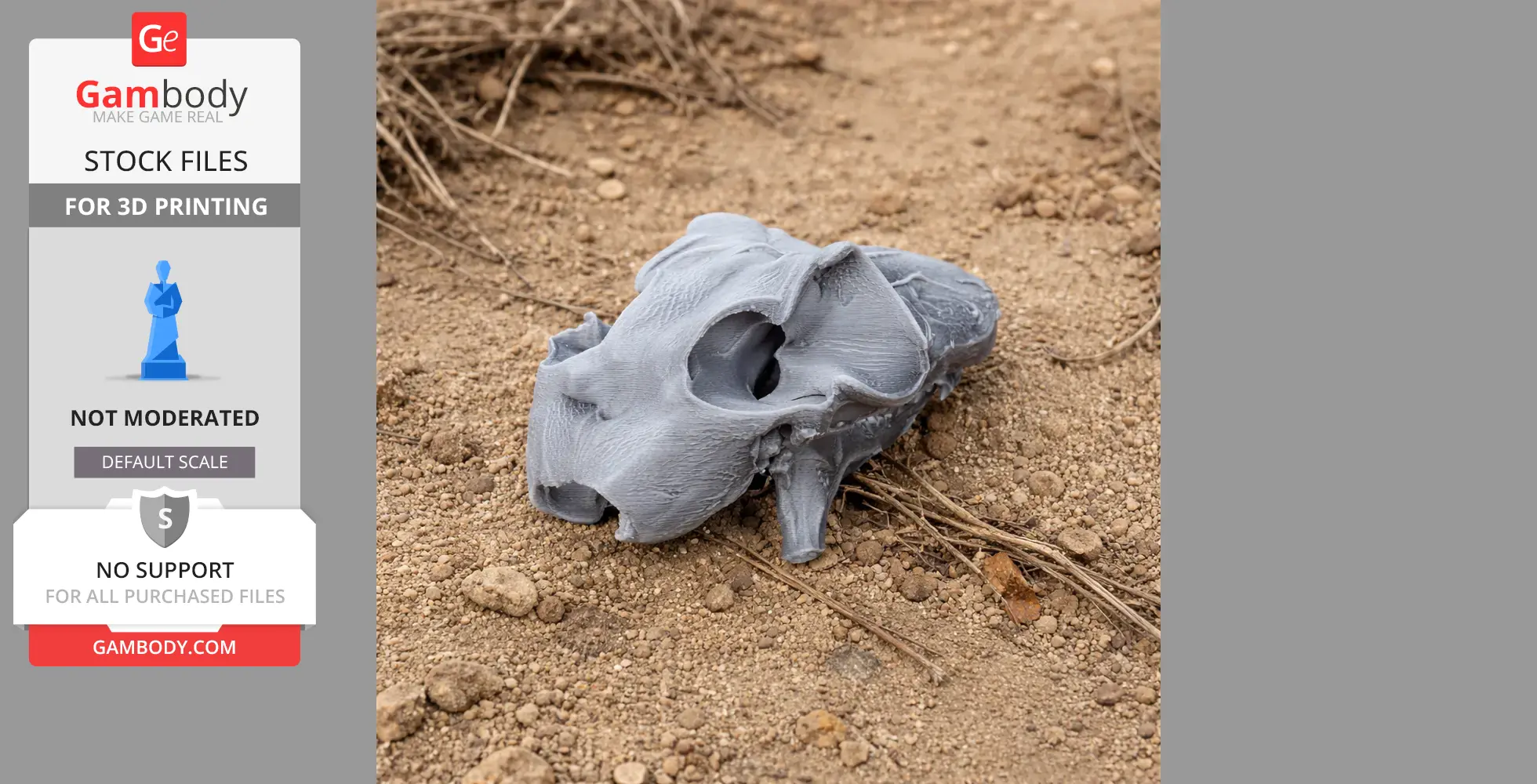 3D printed Sunda Flying Lemur skull replica on rocky ground.