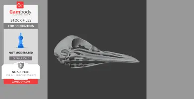 Superb Lyrebird Skull - Skull Replica STL
