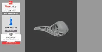 Superb Lyrebird Skull - Skull Replica STL