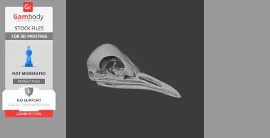 Superb Lyrebird Skull - Skull Replica STL