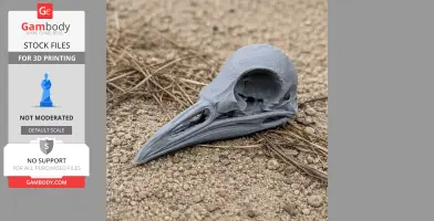 Superb Lyrebird Skull - Skull Replica STL