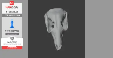 3D model of a swamp wallaby skull, showcasing detailed bone structure, ideal for 3D printing.