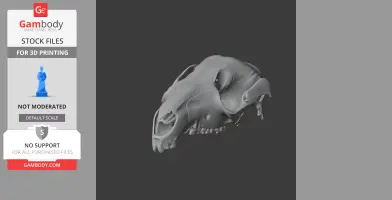 3D model of a swamp wallaby skull, detailed and suitable for 3D printing.