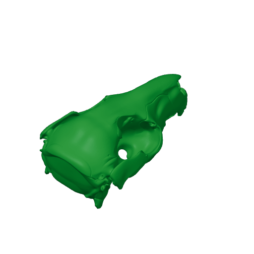 Swamp Wallaby Skull.3mf