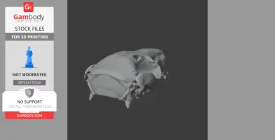 3D model of a Swamp Wallaby skull, suitable for 3D printing.