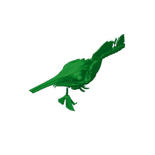 Swordfish Skull.3mf