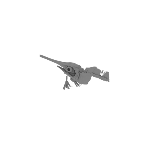 Swordfish Skull.stl