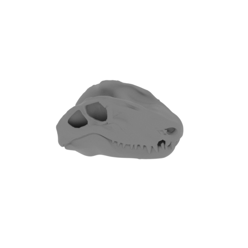 Synapsid Skull.stl