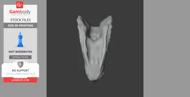 A 3D model of a synapsid skull replica in a vertical position, ready for 3D printing.