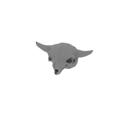 Syncerus antiquus Skull.stl