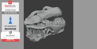 Detailed T-Rex skull replica for 3D printing, highlighting teeth and bone structure.