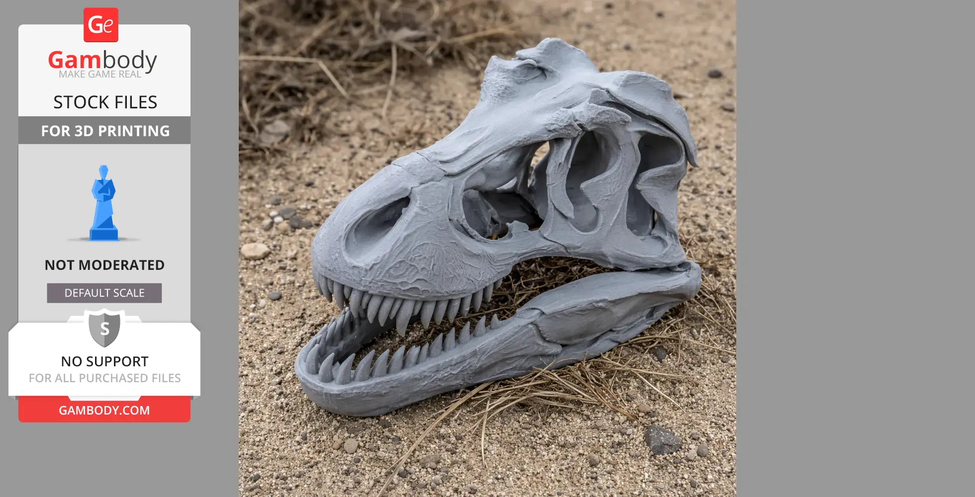 Gray 3D-printed T-Rex skull replica on sandy ground, featuring detailed teeth and bone structure.