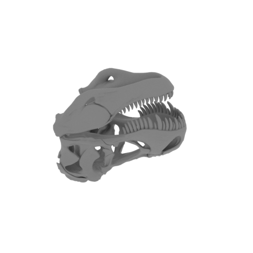 T-Rex Skull.stl