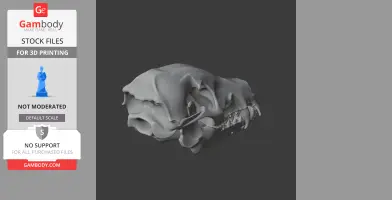 3D model of a takin skull replica, showcasing detailed bone structure for printing.