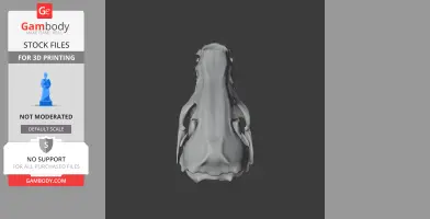 Gray 3D model of a takin skull, viewed from the top, showcasing smooth, detailed contours.