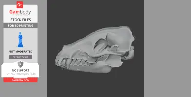 3D model of a Takin skull, side view, showcasing detailed bone structure for printing.