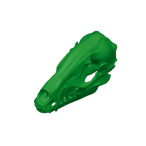 Takin Skull.3mf
