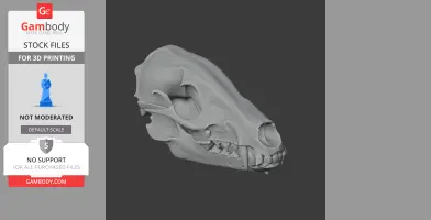 3D model of a Takin skull, detailed and ready for 3D printing, displayed on a dark background.