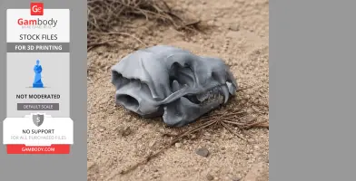 3D-printed Takin skull model on sandy ground, showcasing detailed bone structure and textures.
