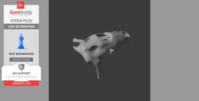 3D model of a Taniwhasaurus skull replica, designed for 3D printing.