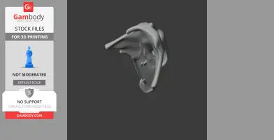 Digital 3D model of a Taniwhasaurus skull for 3D printing, side view.