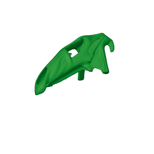 Taniwhasaurus Skull.3mf