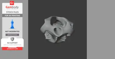 A 3D model of a Tasmanian Devil skull, featuring detailed teeth and bone structure for printing.