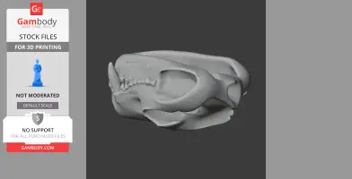 3D model of a Tasmanian Devil skull, detailed and ready for 3D printing.