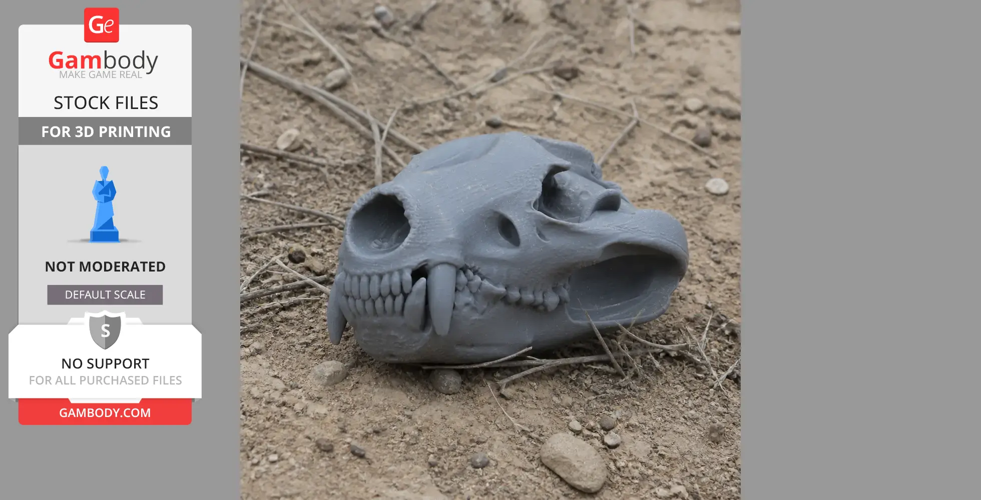 Gray 3D-printed Tasmanian Devil skull model lying on dirt ground.