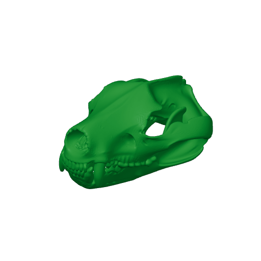 Tasmanian Devil Skull.3mf
