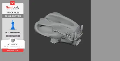 3D model of a Tasmanian Devil skull, detailed teeth and bone structure, for 3D printing.
