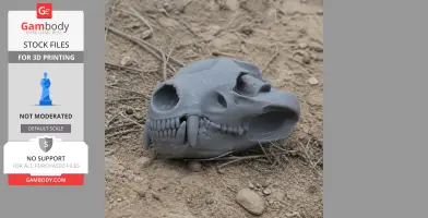 Gray 3D-printed Tasmanian Devil skull model lying on dirt ground.