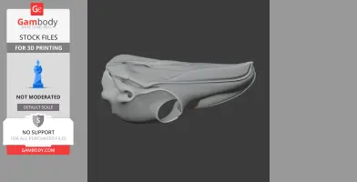 3D model of a Tawny Frogmouth skull, showcasing detailed contours for 3D printing.