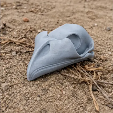 3D-printed Tawny Frogmouth skull replica resting on a sandy surface.
