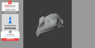 3D model of a Tawny Frogmouth bird skull in a neutral gray color for 3D printing.