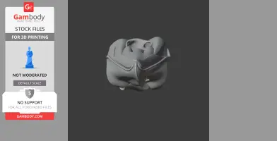 3D model of a Tawny Frogmouth skull for printing, displayed on a dark background.