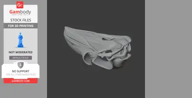 3D model of a detailed Tawny Frogmouth skull, suitable for 3D printing.