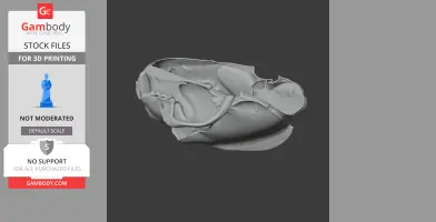 Gray Tayra skull 3D model on a dark background, showcasing detailed bone structure for printing.