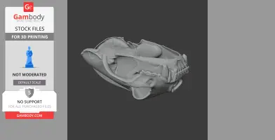 3D Tayra skull model for printing, showing detailed bone structures on a dark background.