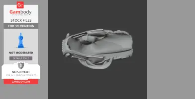3D model of a Tayra skull replica, designed for 3D printing.