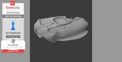 3D model of a Tayra skull, detailed replica for 3D printing, displayed on a dark background.