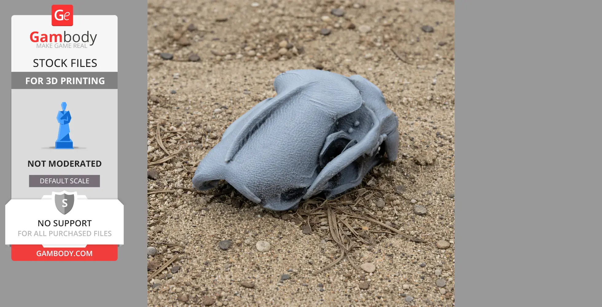 Gray, 3D-printed Tayra skull replica resting on sandy ground with scattered pebbles.
